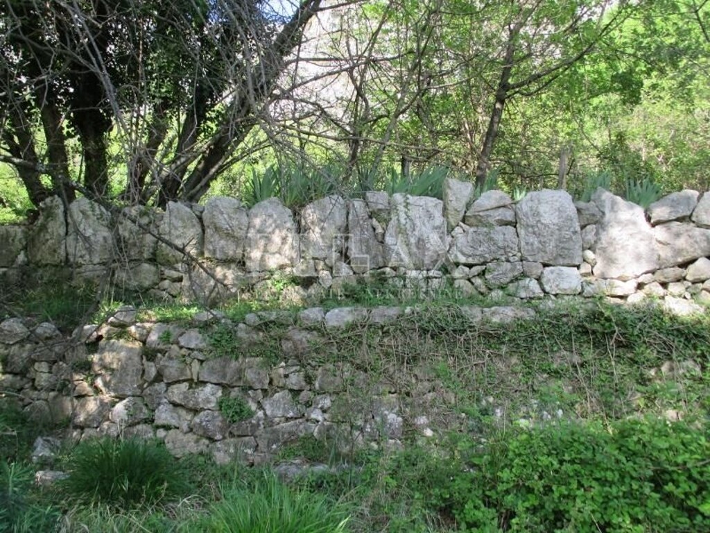 Image 13