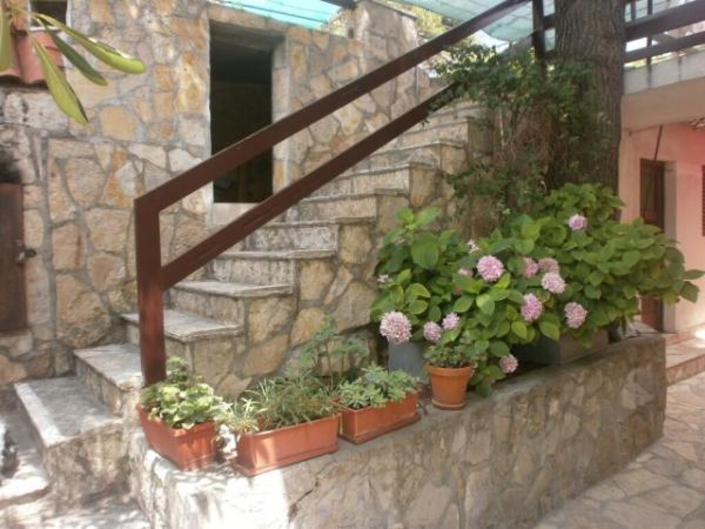 Image 3811207 - 12