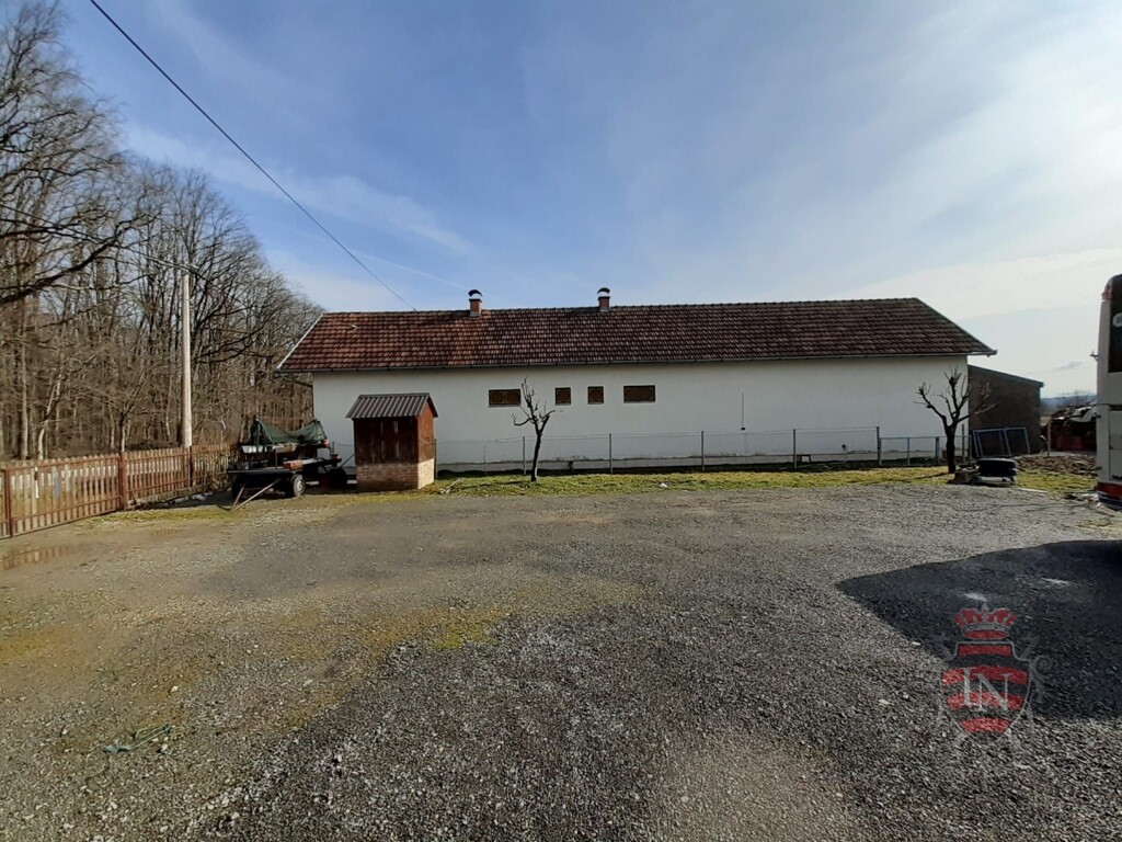 Image 9