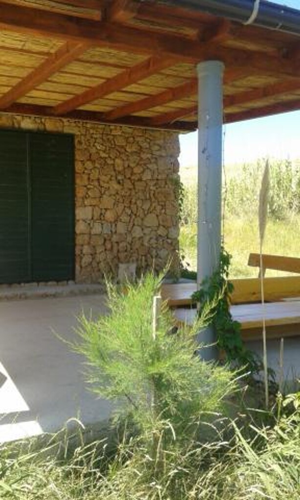 Image 3823622 - 9
