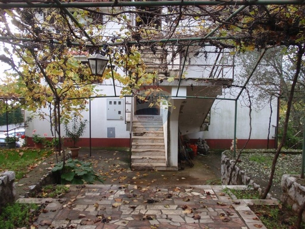 Image 5411136 - 6
