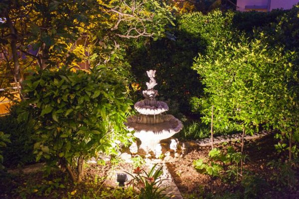 Image 3838959 - 6