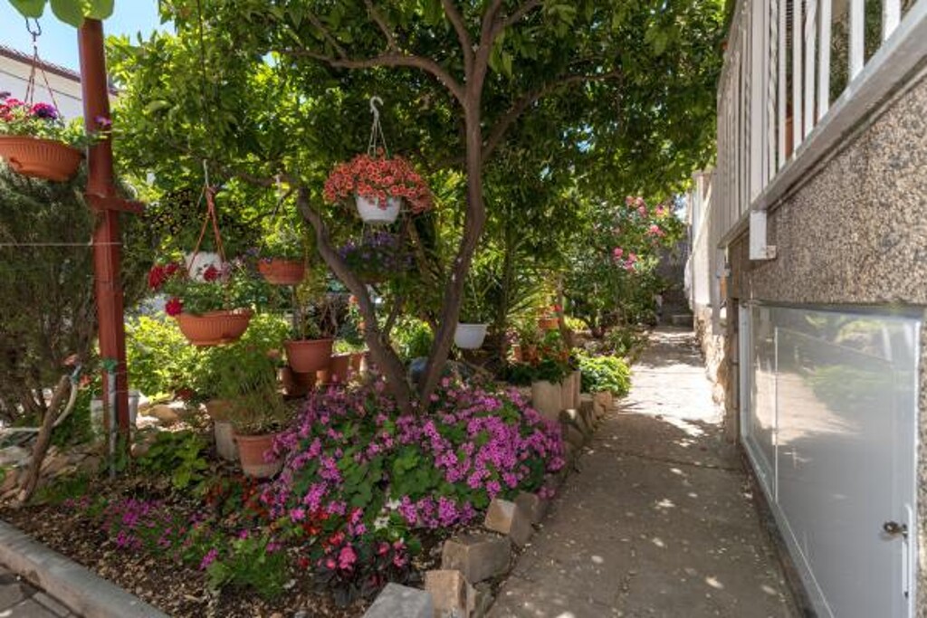 Image 3811873 - 9