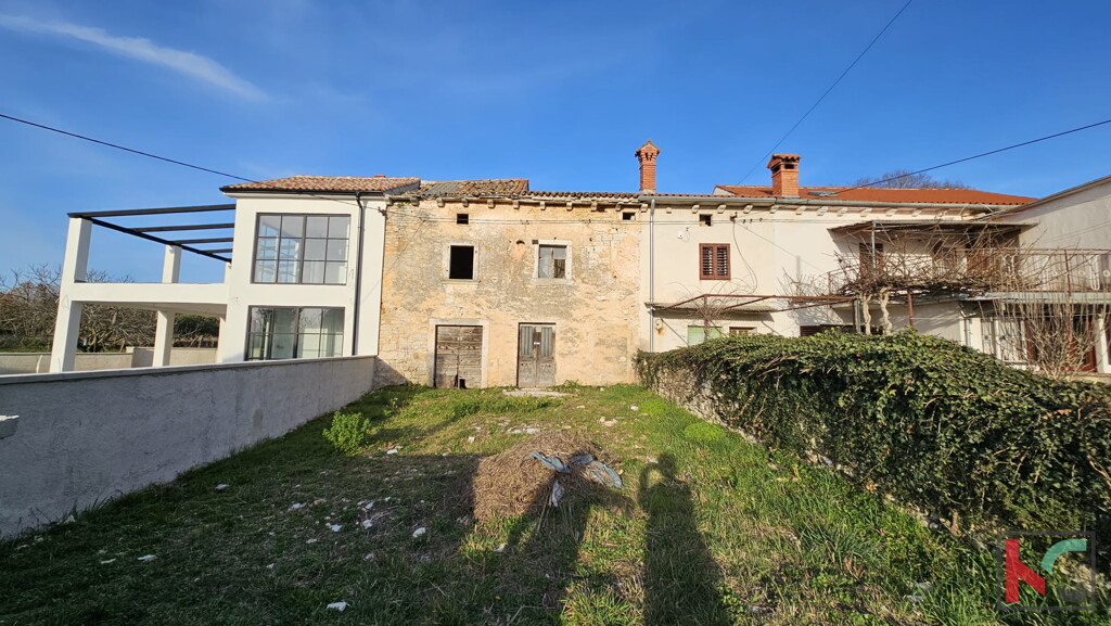 Image 13