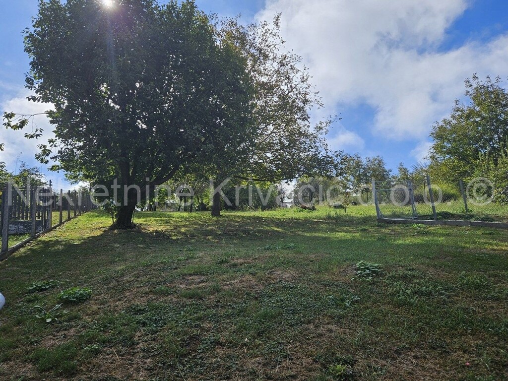 Image 6117637 - 25