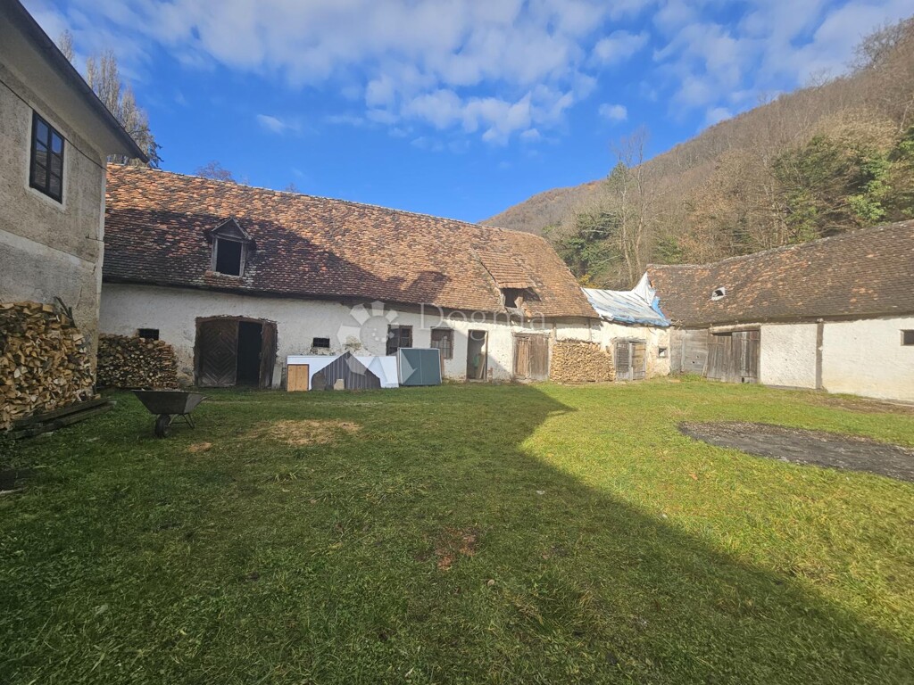 Image 16