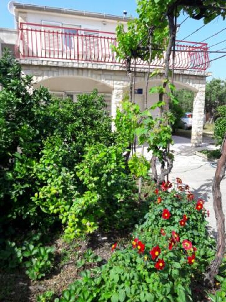 Image 3812856 - 3