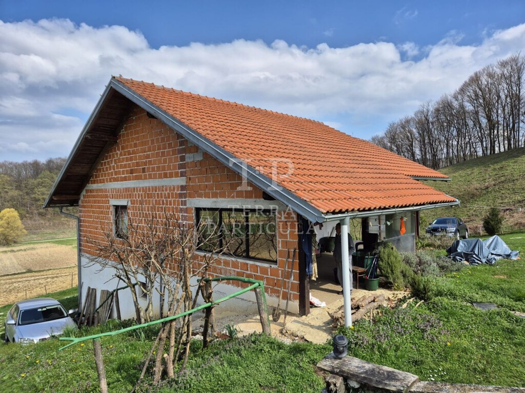 Image 12