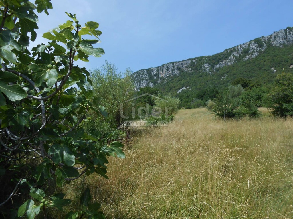 Image 5383974 - 15
