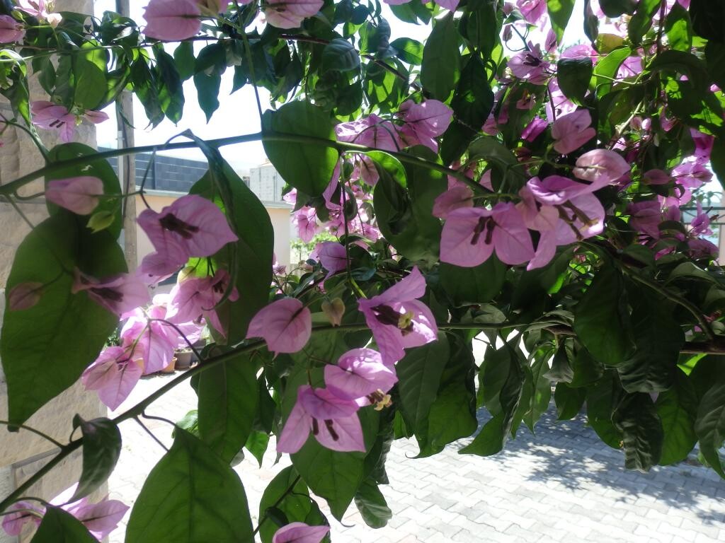 Image 3823110 - 11