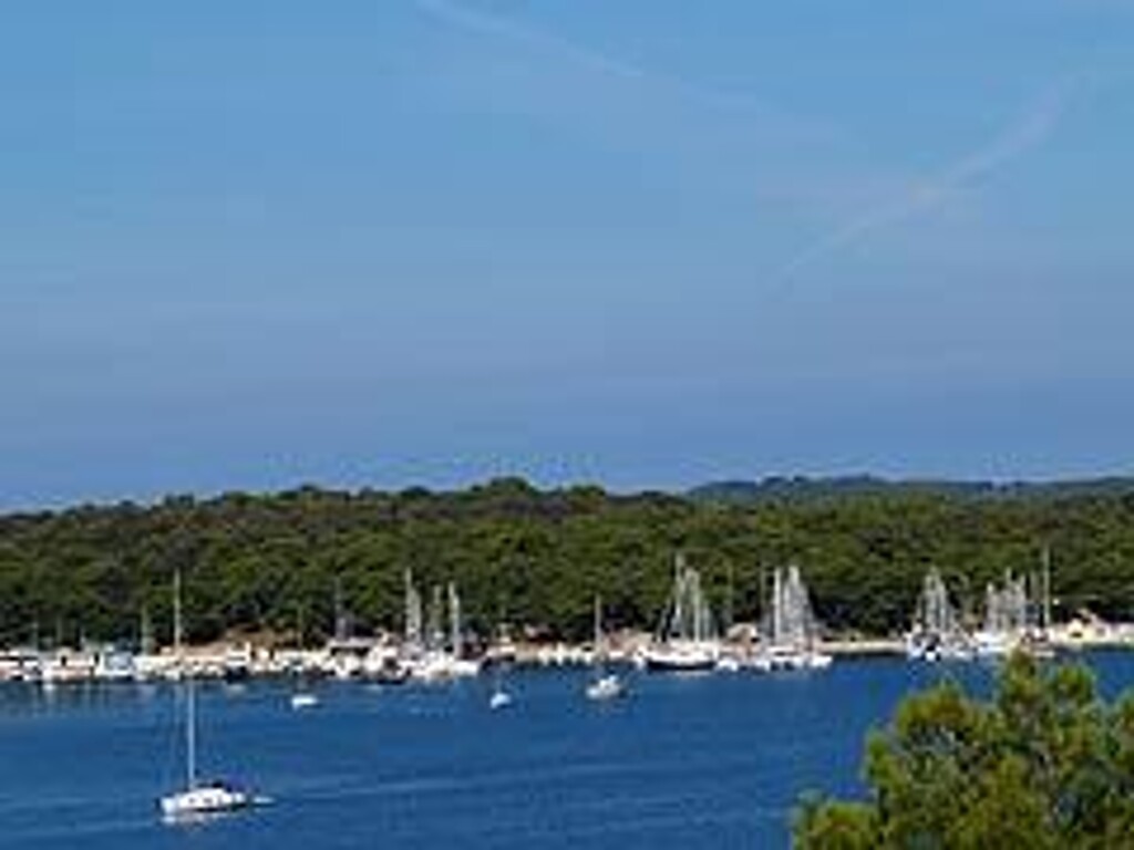 Image 3812942 - 11