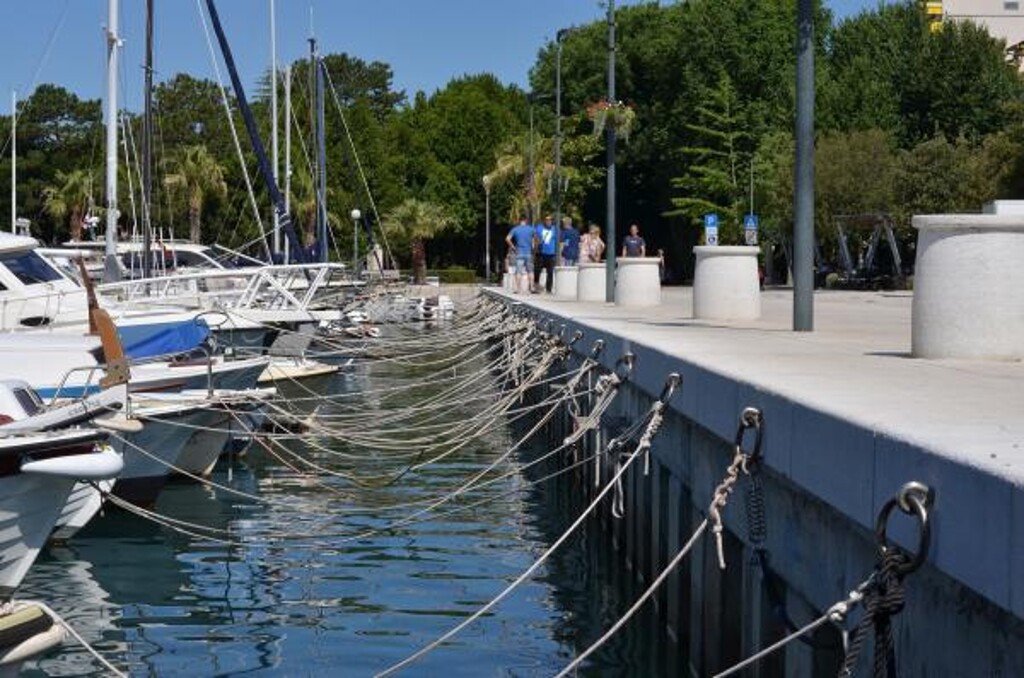Image 3814189 - 5