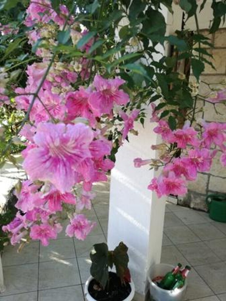 Image 3838601 - 14