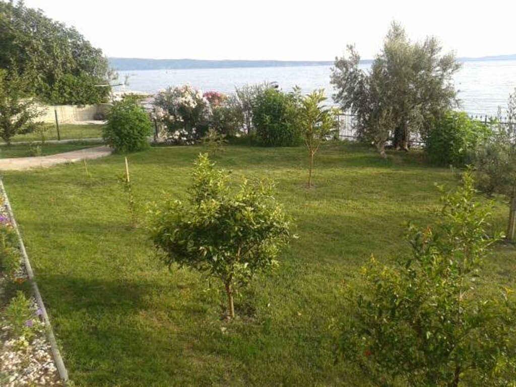 Image 3812899 - 3