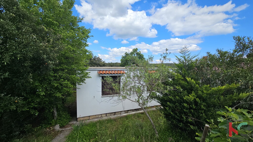 Image 14