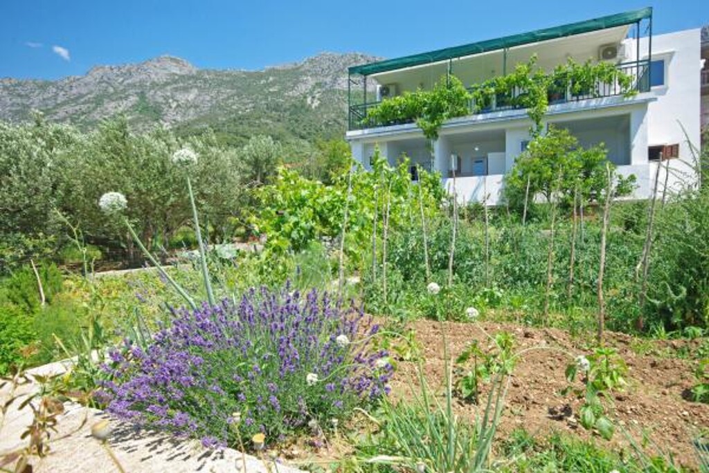 Image 3812767 - 12