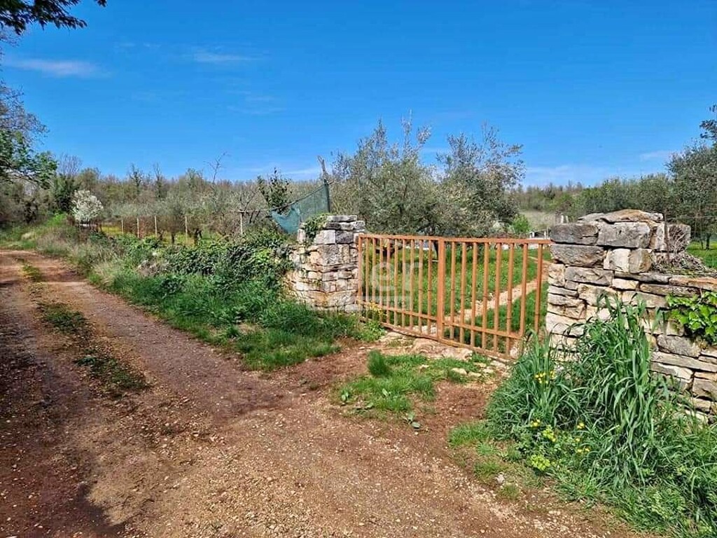 Image 10