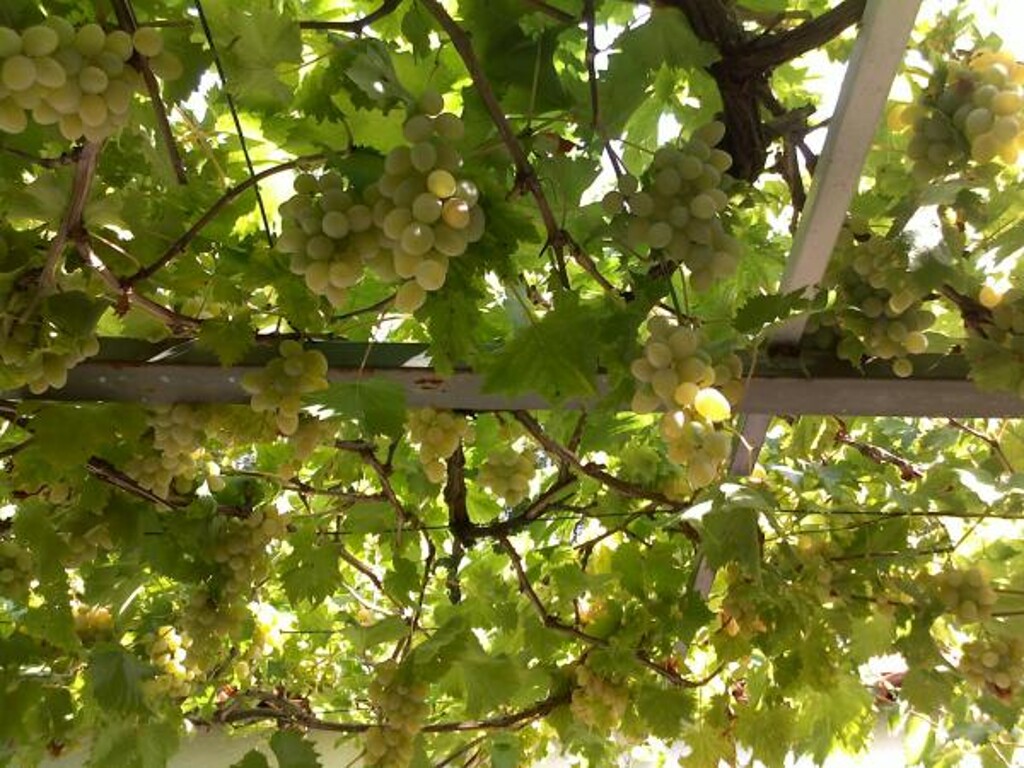 Image 3811285 - 2