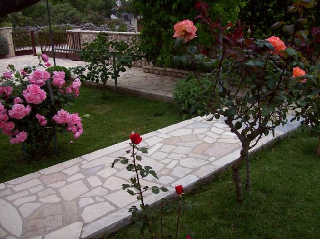 Image 3838995 - 26
