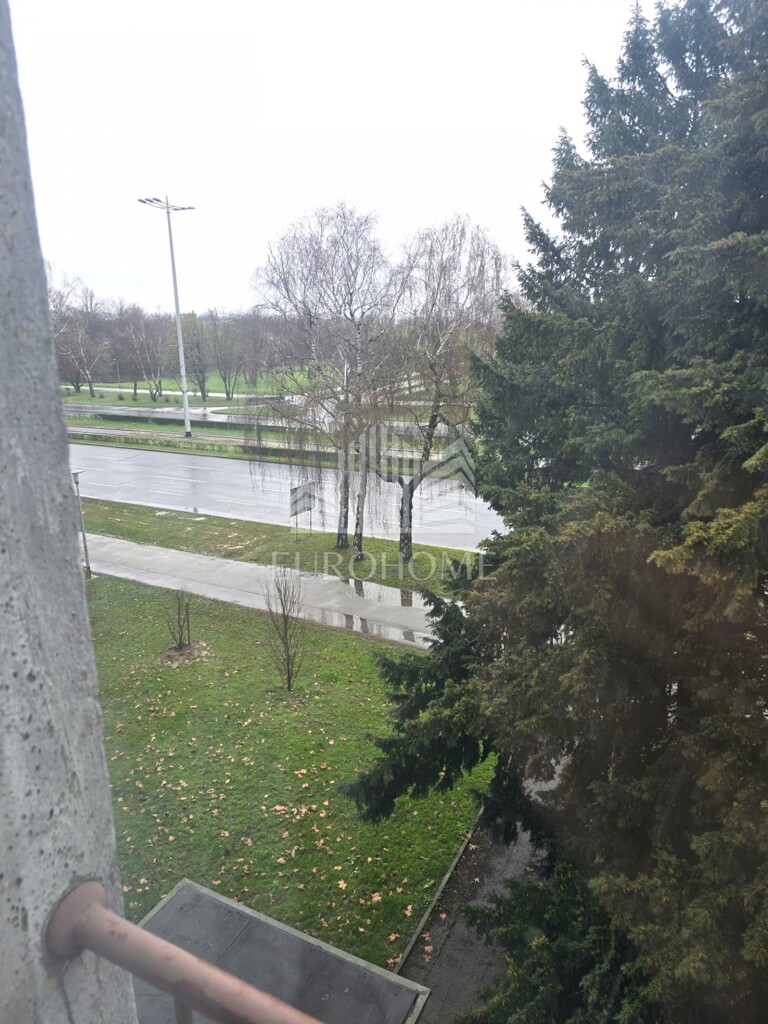 Image 12