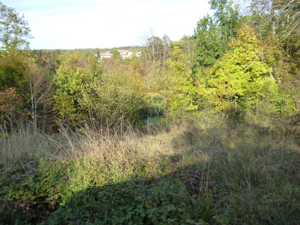 Image 5411141 - 2