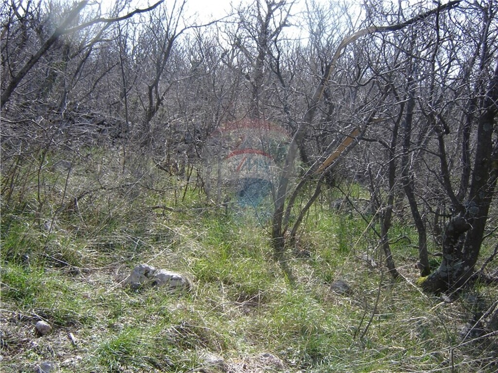 Image 5411066 - 2