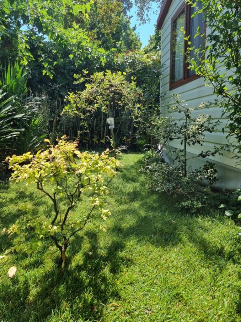 Image 3813824 - 21