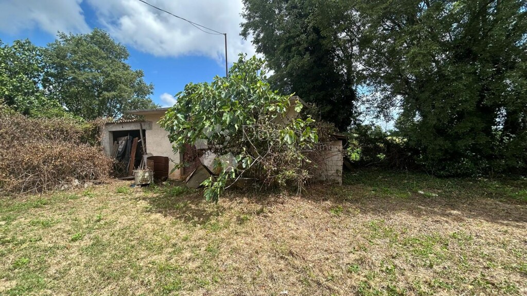 Image 14