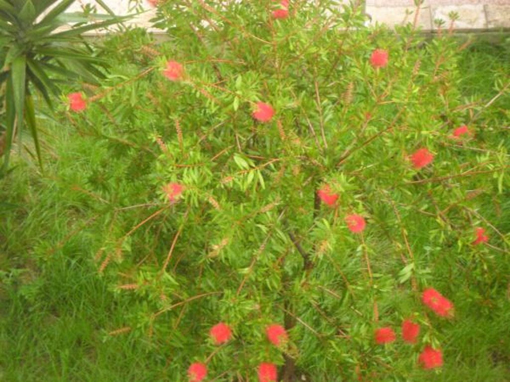 Image 3812535 - 3