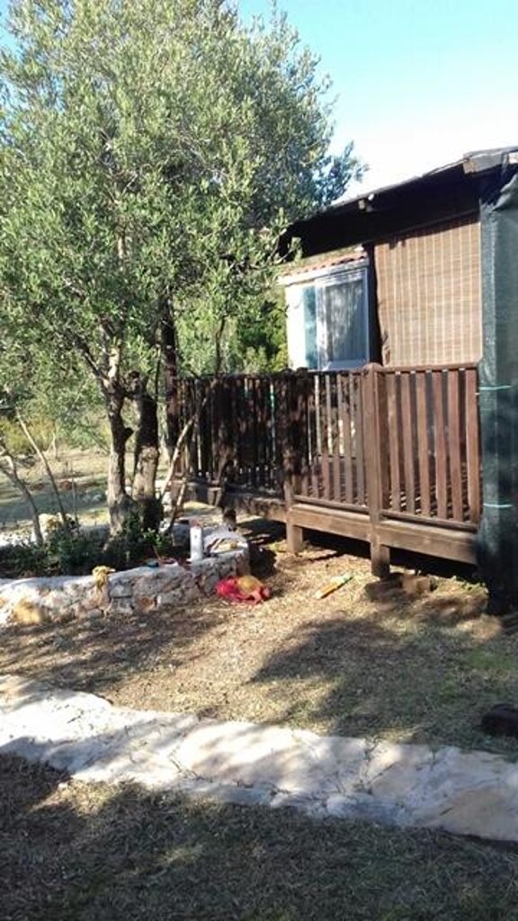 Image 3823673 - 17