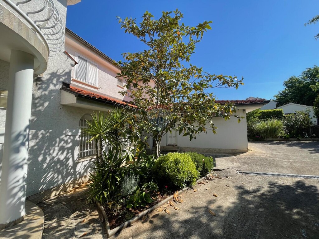 Image 10