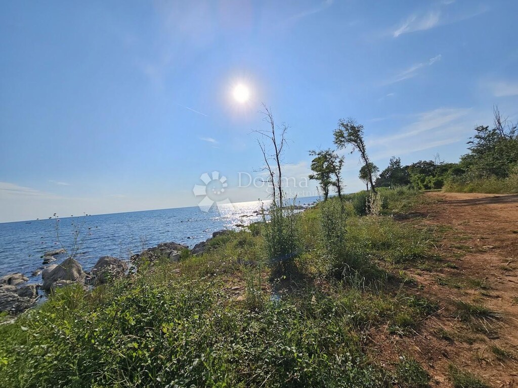 Image 13
