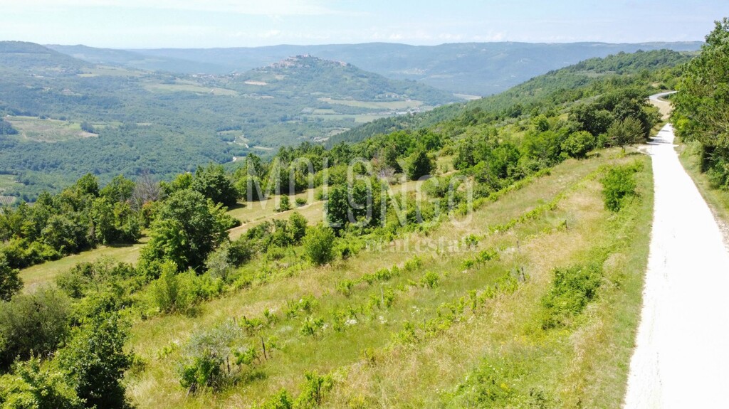 Image 6332021 - 5