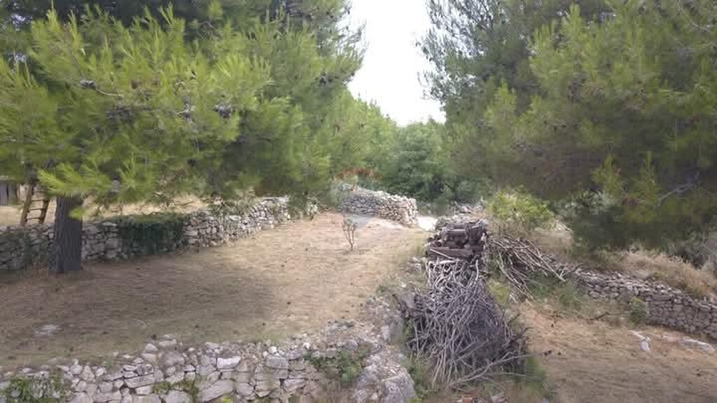 Image 13