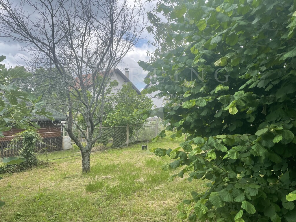 Image 23