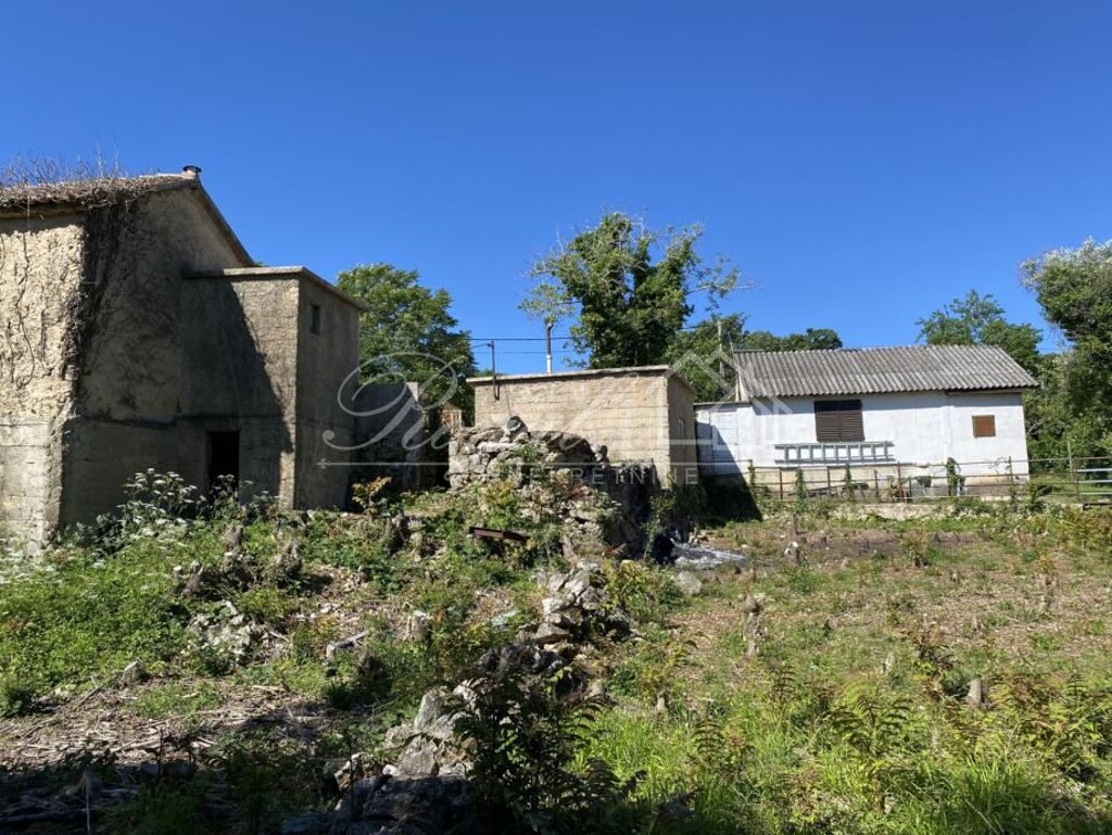 Image 10