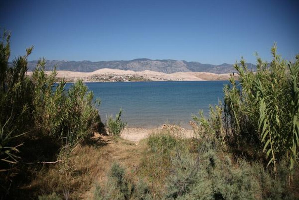Image 3823622 - 49