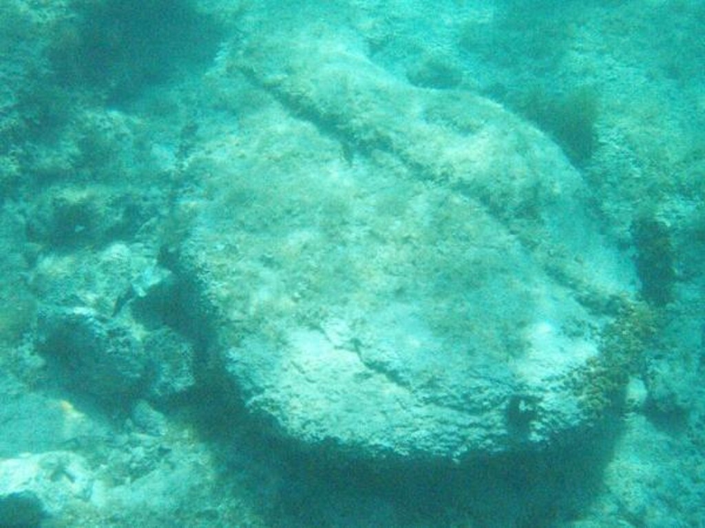 Image 3812221 - 14