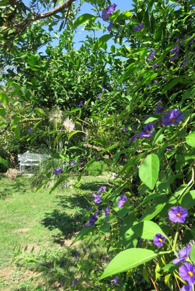 Image 3810738 - 13