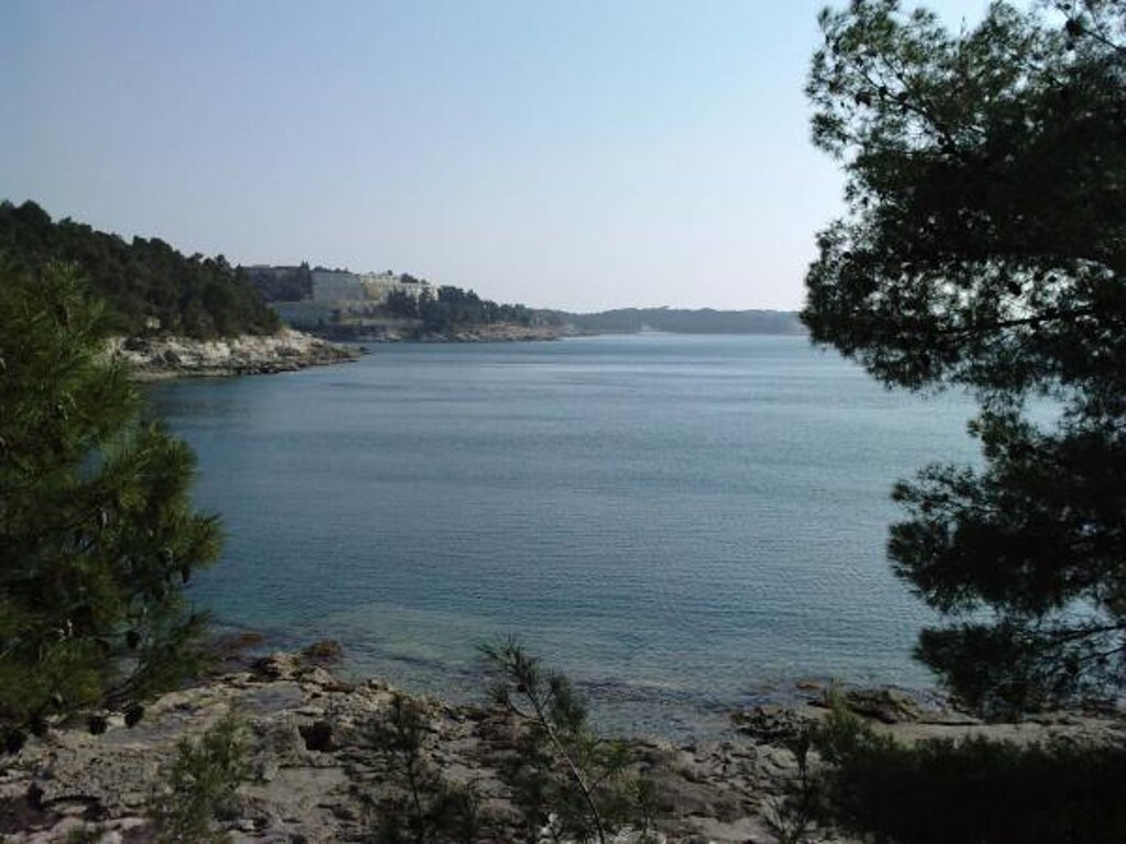 Image 3810857 - 2