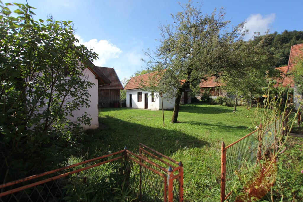 Image 14