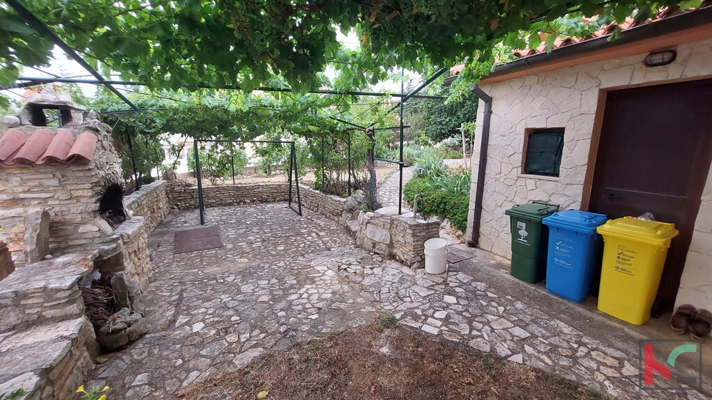 Image 24