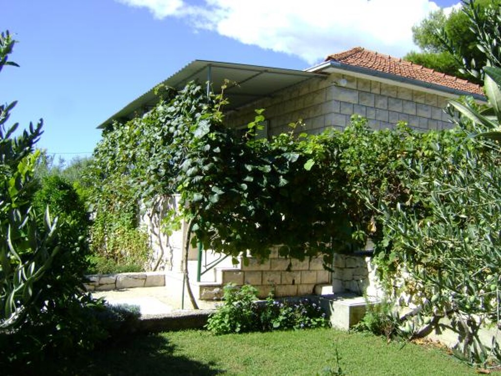 Image 3823106 - 19