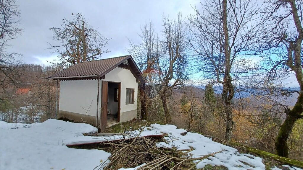 Image 11