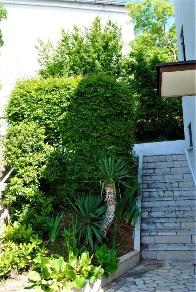 Image 14