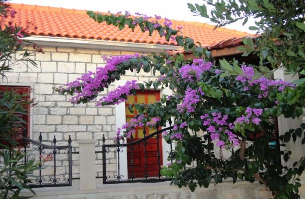 Image 3813468 - 5