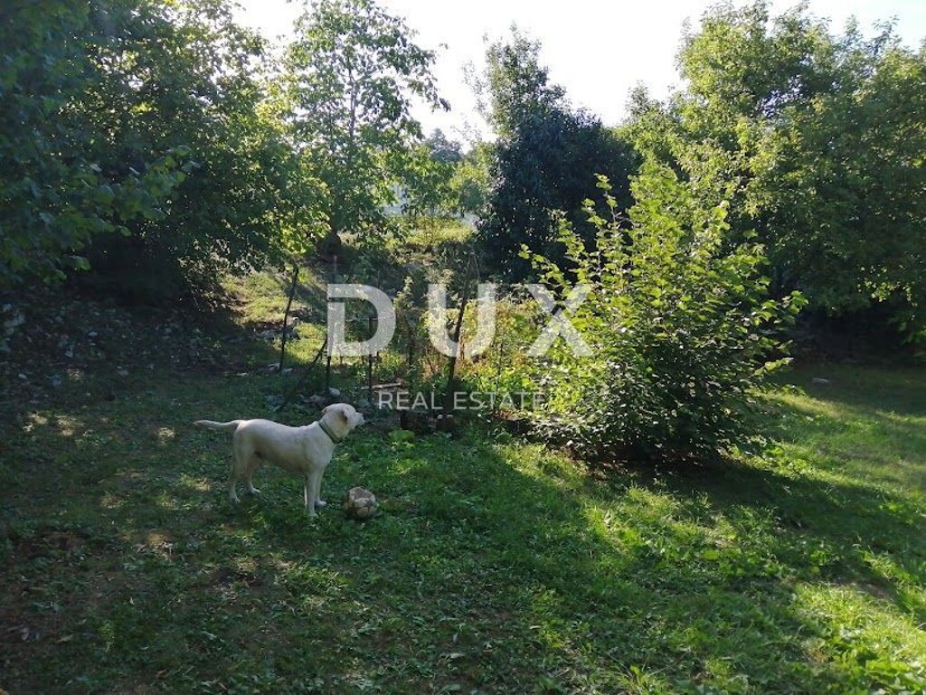 Image 21