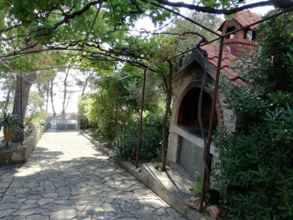 Image 3814109 - 8