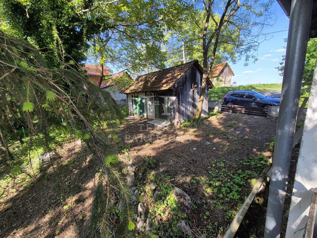 Image 20