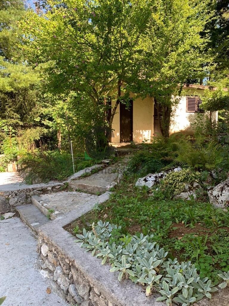 Image 6164296 - 2